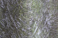 High Offley fibreglass roof work